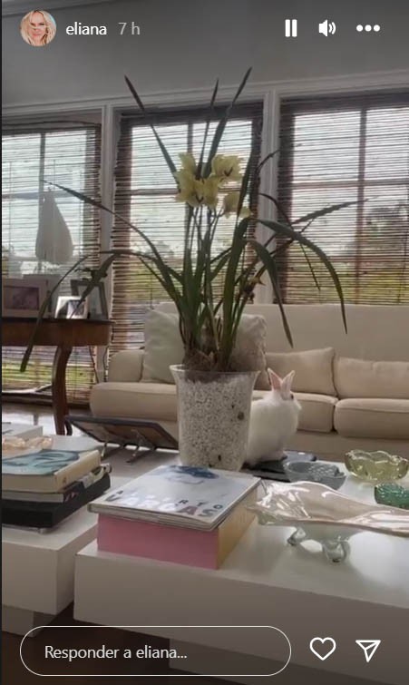 Eliana mostra decoração da sala de estar (Reprodução/Instagram)