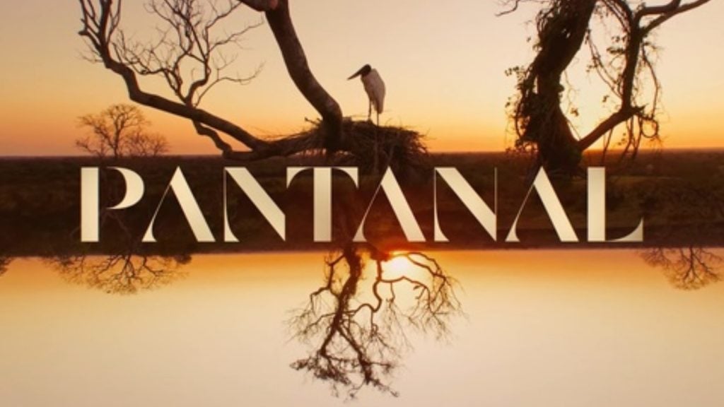 Pantanal (Reprodução/Divulgação)