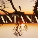 Pantanal (Reprodução/Divulgação)