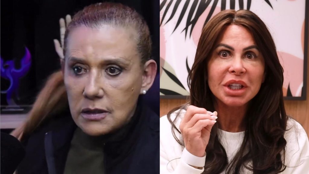 Rita Cadillac fala sobre treta com Gretchen - Reprodução/Instagram