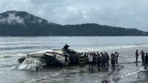 Avião cai em praia de Ubatuba - Foto/Reprodução